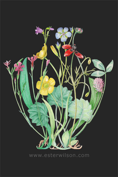 Flower Vase 01 drawing