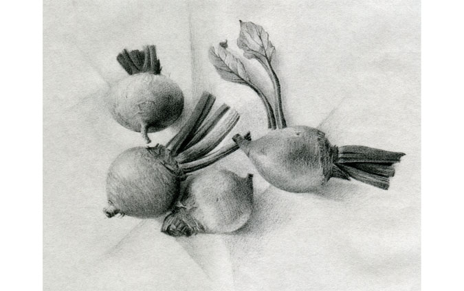Beets Drawing