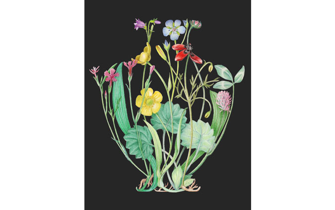 Flower Vase 01 Drawing