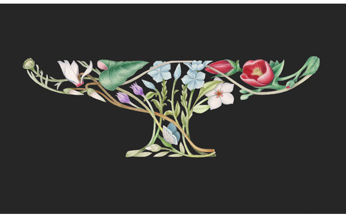 Flower Vase 02 Drawing