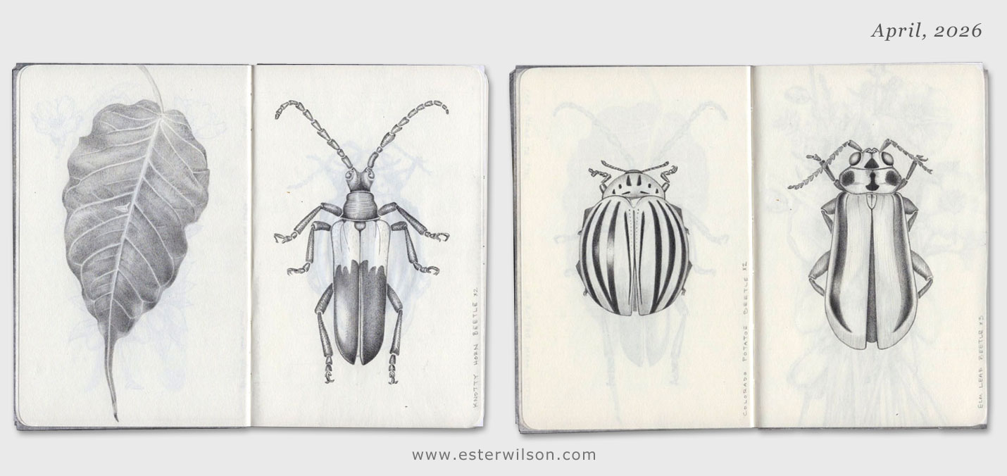 Ester Wilson Artwork