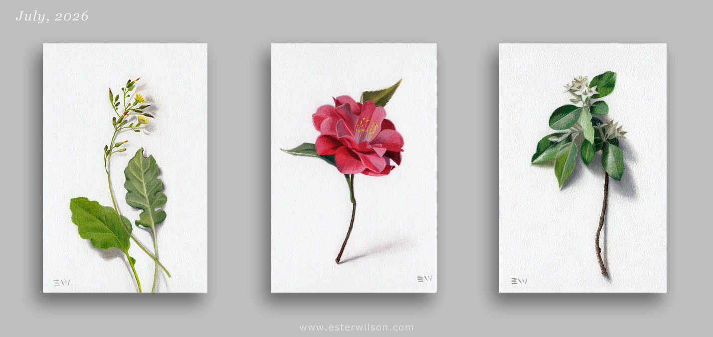 Ester Wilson Artwork